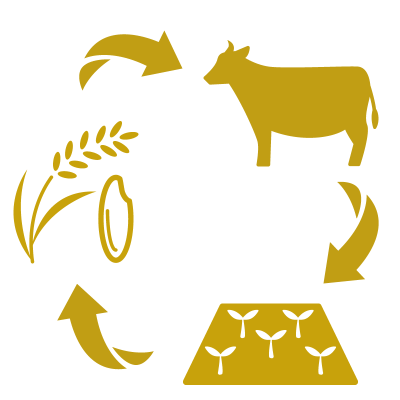 資源の循環（牛・耕地・飼料）